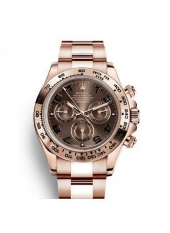 Rolex Cosmograph Daytona Everose Brown Dial 116505-0011