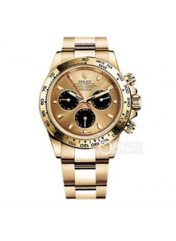 Rolex Daytona Gold Disk Watch 116508