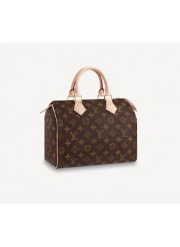 Louis Vuitton  SPEEDY 25 Handbag  M41109