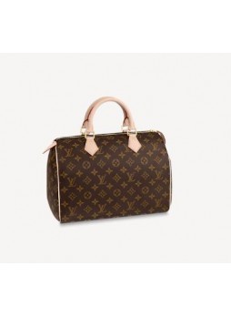 Louis Vuitton SPEEDY 30 Handbag M41108