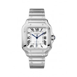 Cartier Santos Series  Mechanical  Watch WSSA0009