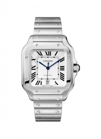 Cartier Santos Series  Mechanical  Watch WSSA0009