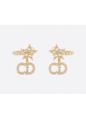 DIOR CLAIR D LUNE EARRINGS E1099