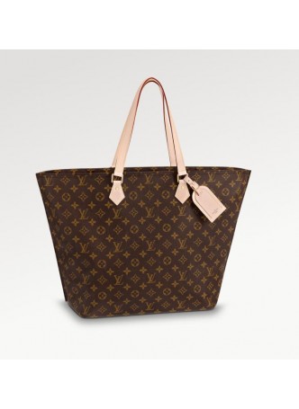 Louis Vuitton ALL-IN MM  M47029