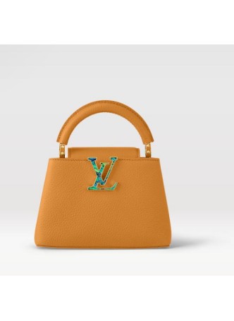 Louis Vuitton CAPUCINES MINI  M21168